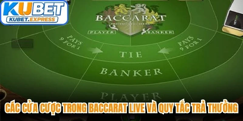 Các cửa cược trong Baccarat Live và quy tắc trả thưởng